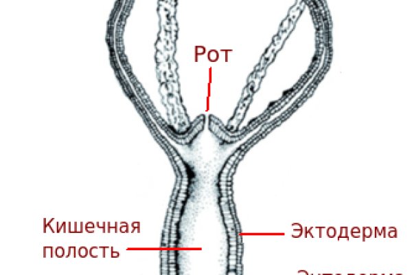 Кракен онион тор